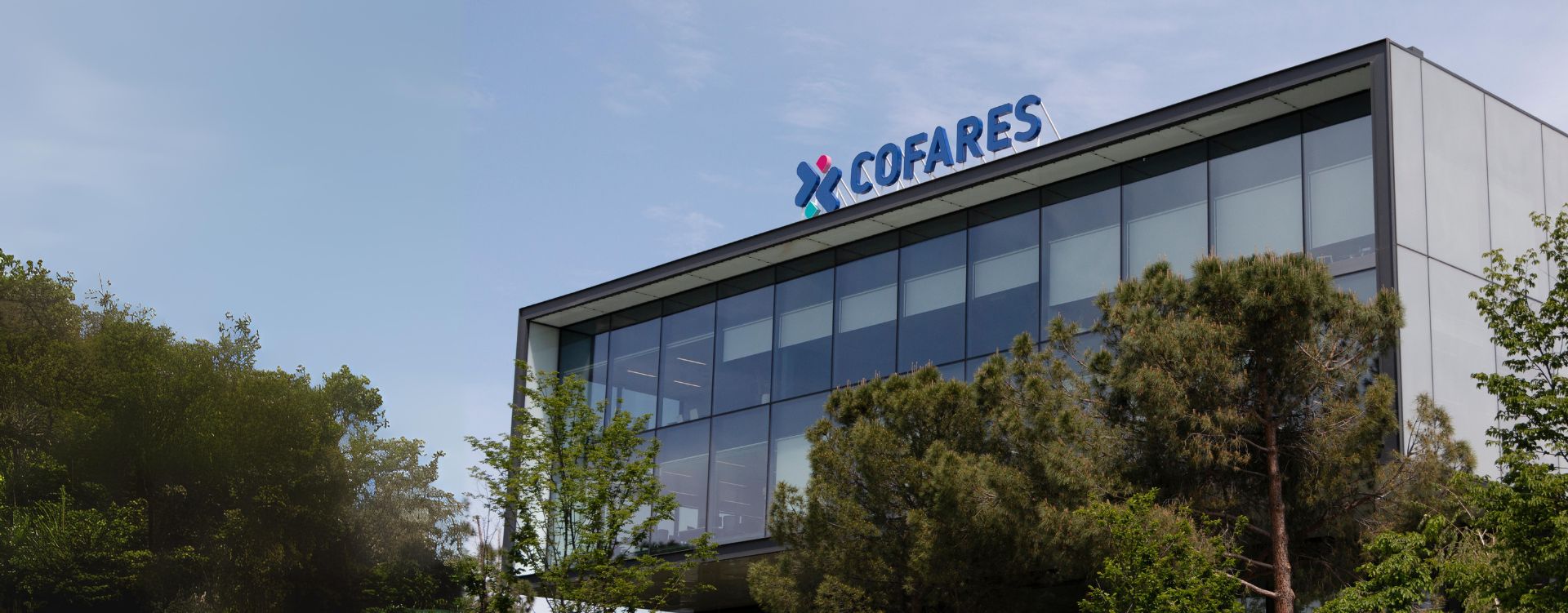 Cofares - Formación